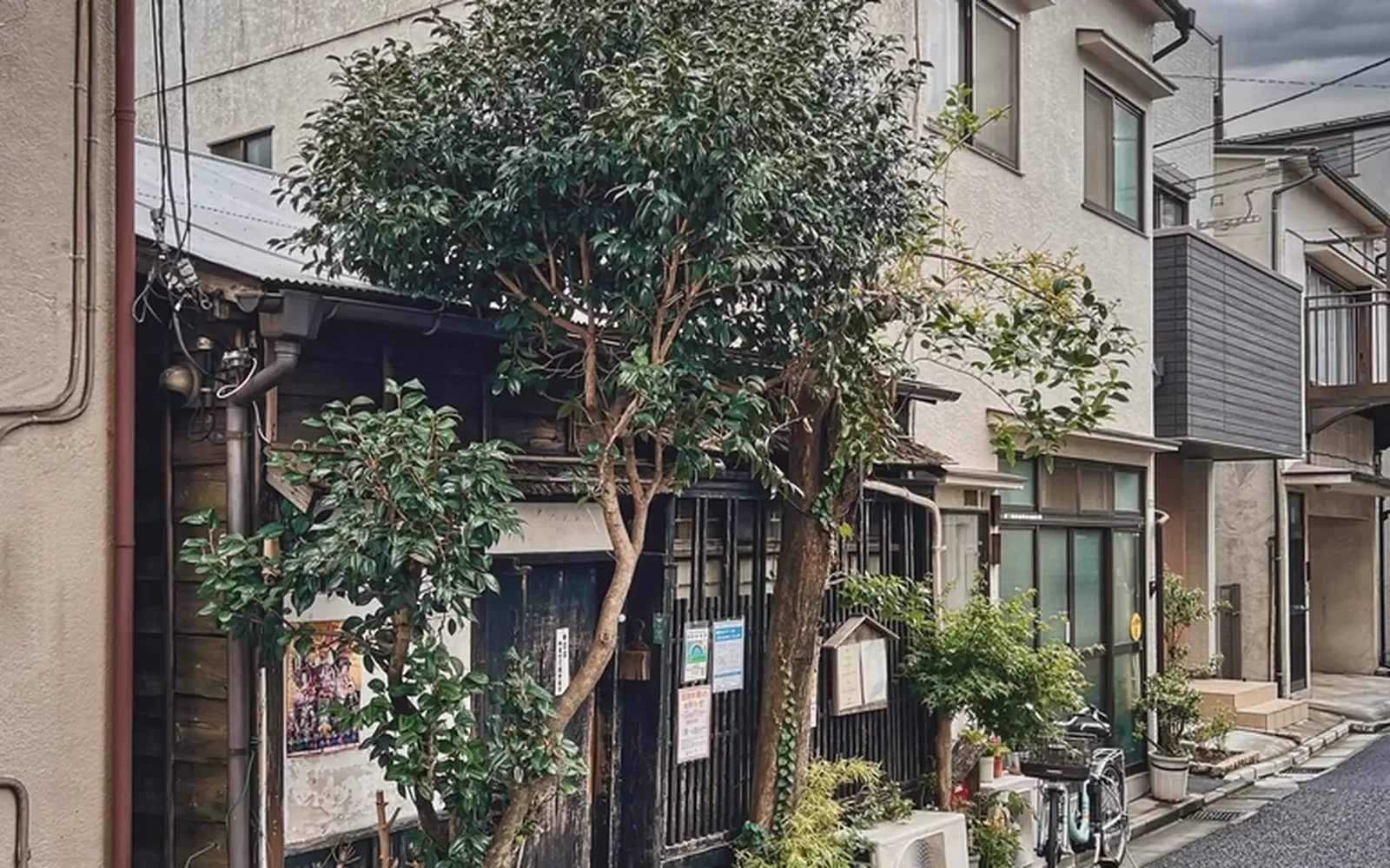 緑のある建物前の通りを写した採用ページ記事のイメージ写真